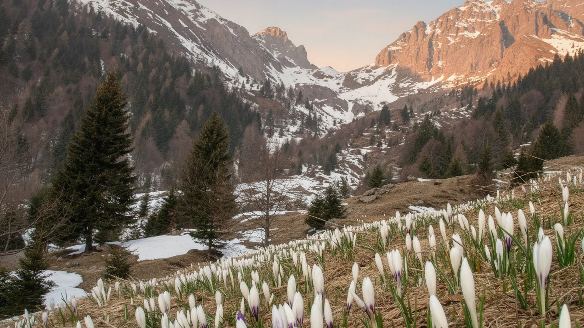 Alpen Suites Presolana, Vilminore di Scalve (Lombardia)